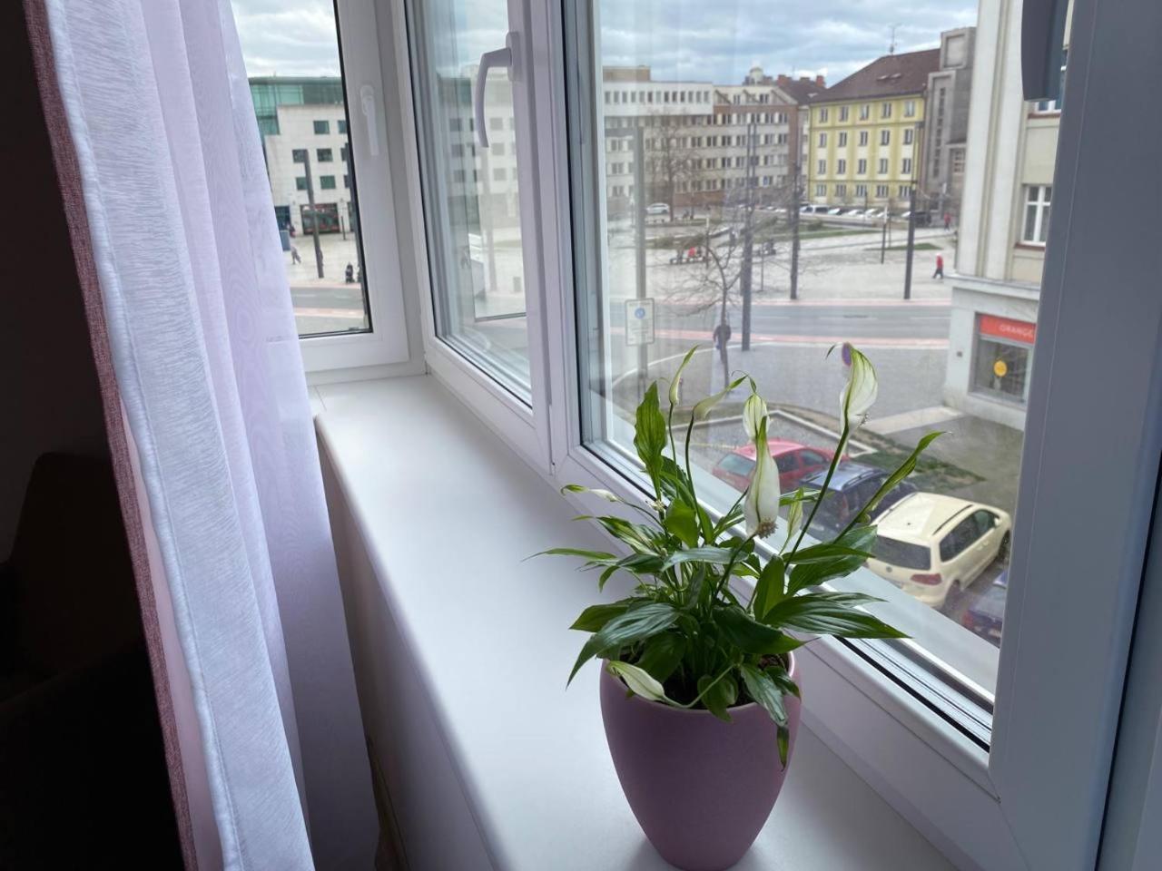Perla Hradce 302 Apartment Hradec Kralove Bagian luar foto